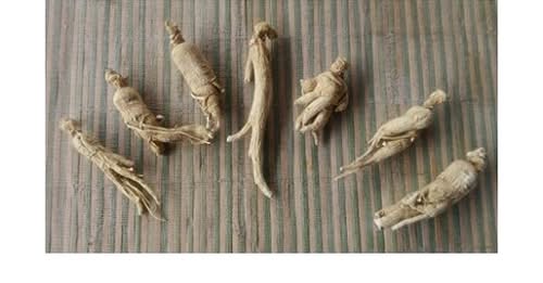 Racines de ginseng