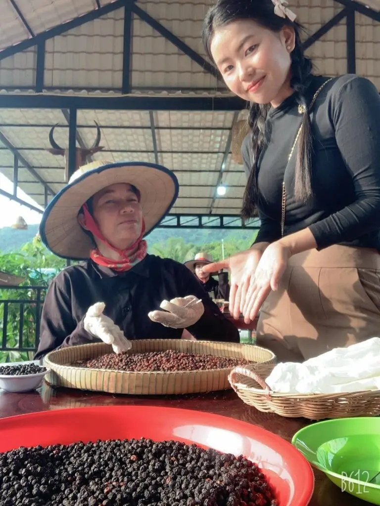 Plantation de poivre Ny Ann; Kampot, trésors du Cambodge