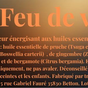 Inhalateur aux huiles essentielles feu de vie, trésors du Cambodge